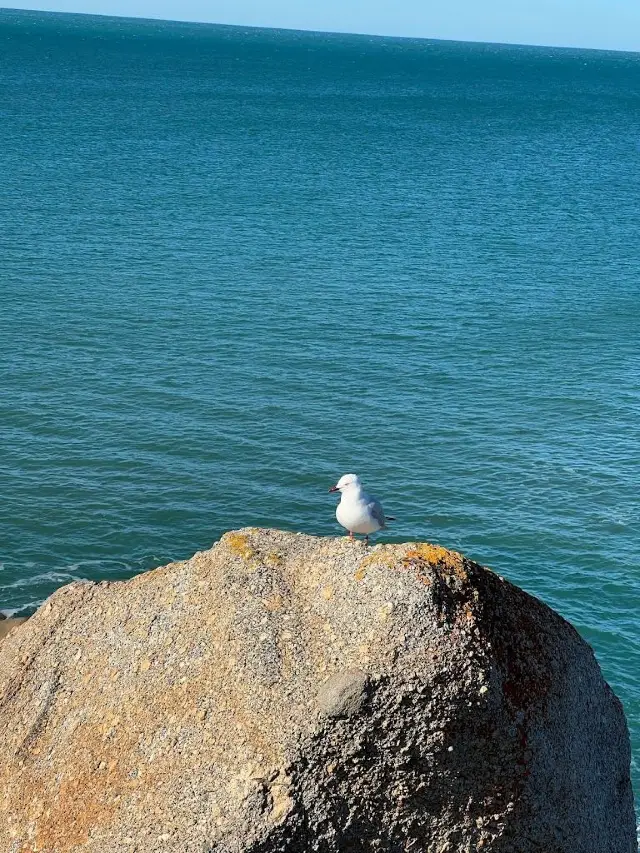 5일간의 호주 봄 여행, 아름다운 풍경도 부족해