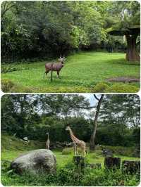 茂物野生動物園及周邊：雅加達人的週末玩樂寶典！