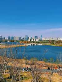 春天是逛公園的好時光～世博文化公園