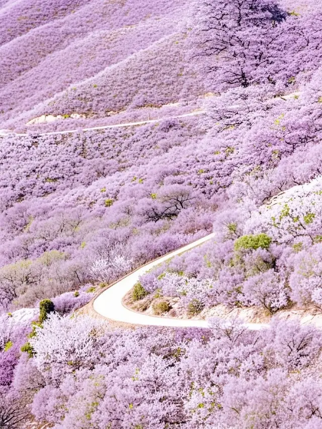 Beijing's best hike for families! The 3 km flower-filled loop at Baihujian is stunning!