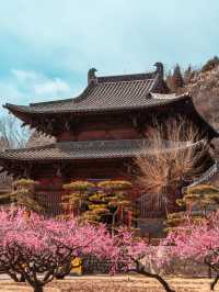 蒙山大佛不應被埋沒