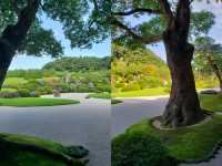 日本庭園的天花板｜足立美術館