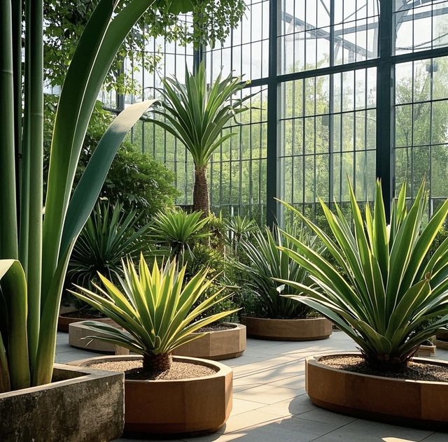 探索蒙特雷的夢幻之地 —— 蒙特雷科技大學植物園