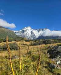 新西蘭必去庫克山國家公園，徒步看景超絕