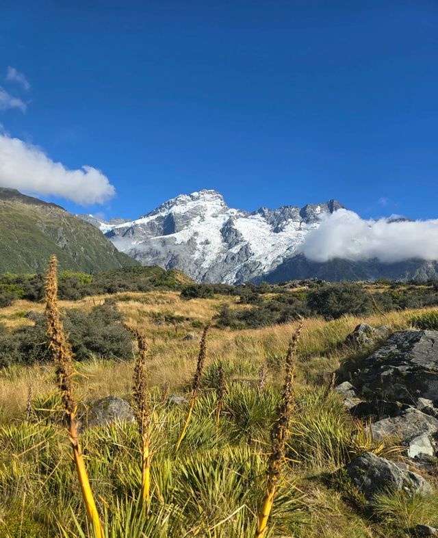 新西蘭必去庫克山國家公園，徒步看景超絕