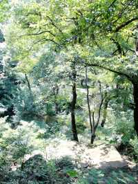 避開人潮到南京棲霞山賞櫻攻略