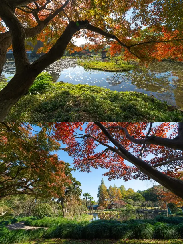 A Quick Guide to a Wonderful 2-Day Hangzhou Getaway