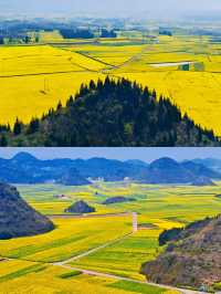 羅平賞油菜花‖打卡避坑攻略