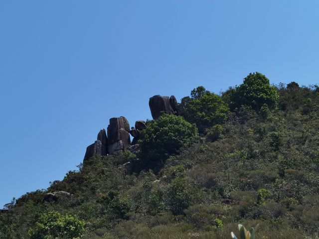 香港離島遠足—鹽田梓滘西洲穿越（下）