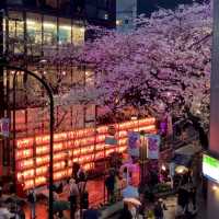 被澀谷夜櫻美到失語，東京限定浪漫