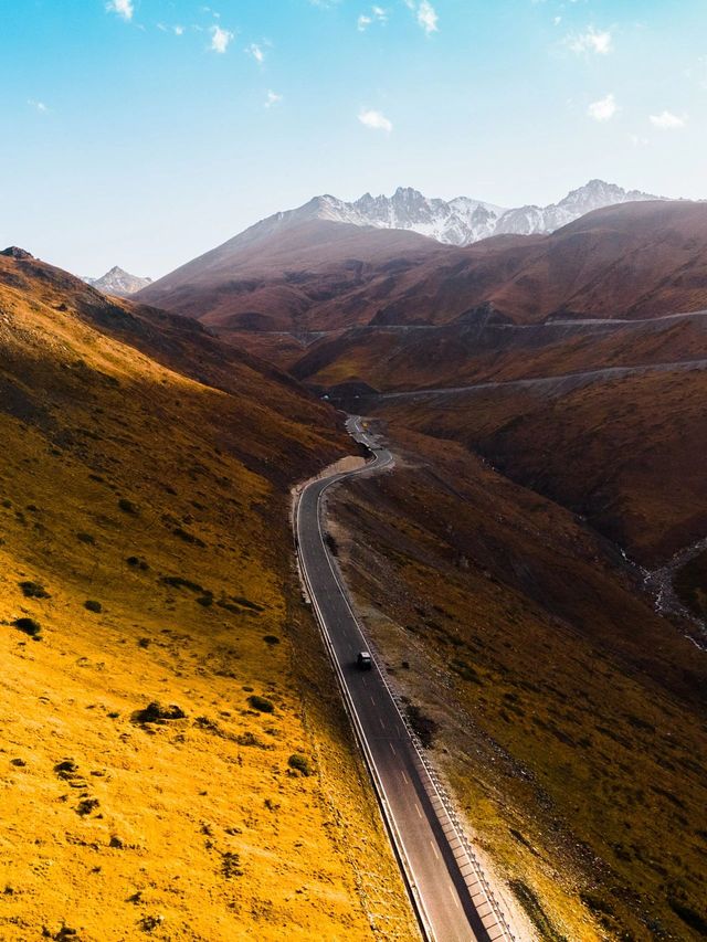 讓老友們瘋狂的阿勒泰地區等地旅遊攻略 你get了嗎