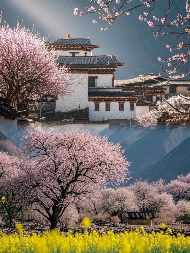 去有花盛開的地方，欣賞山川之美