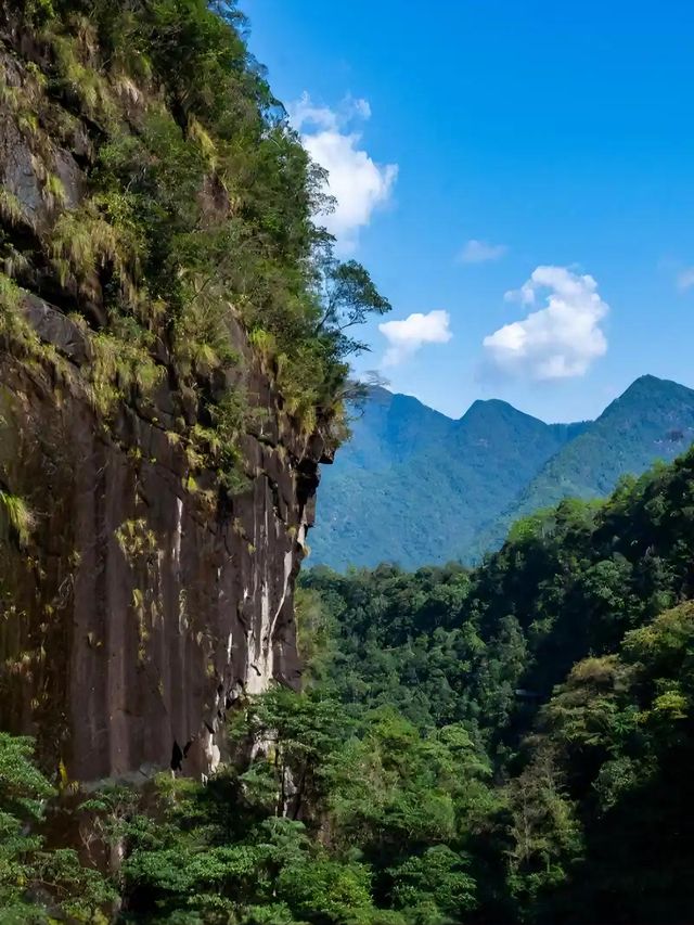 南平旅遊必備攻略（超全）
