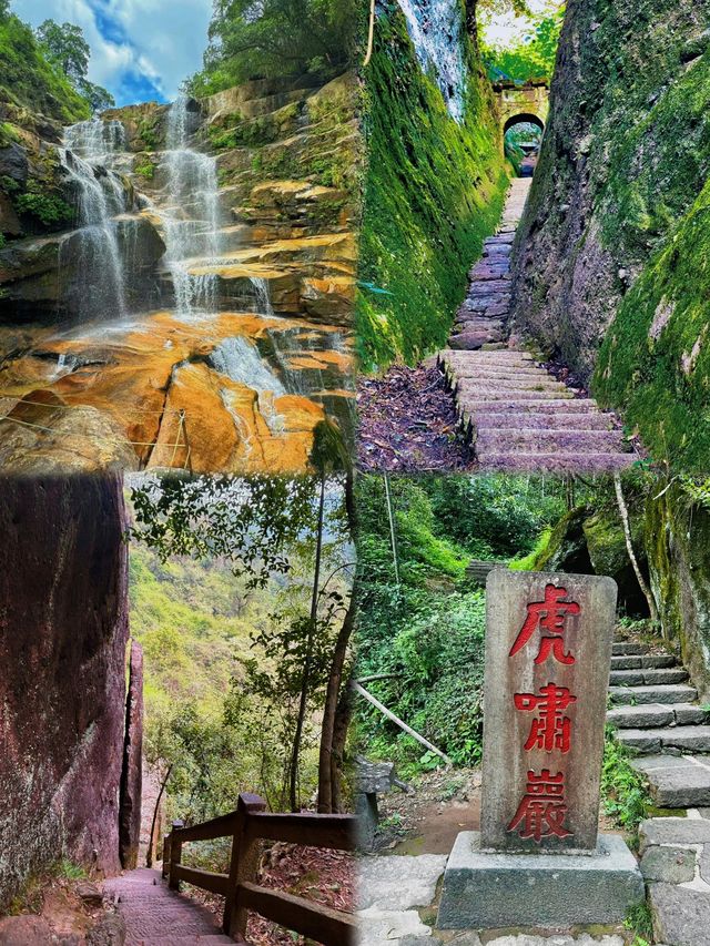 一程山水，半卷茶香，呢度靚到極