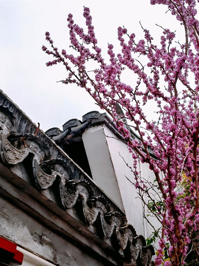 上海崇明歷史文化地標——崇明學宮