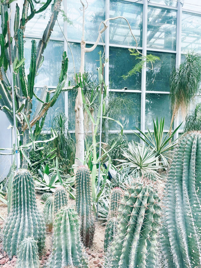 鄭州｜植物園｜中原綠意秘境與自然奇觀