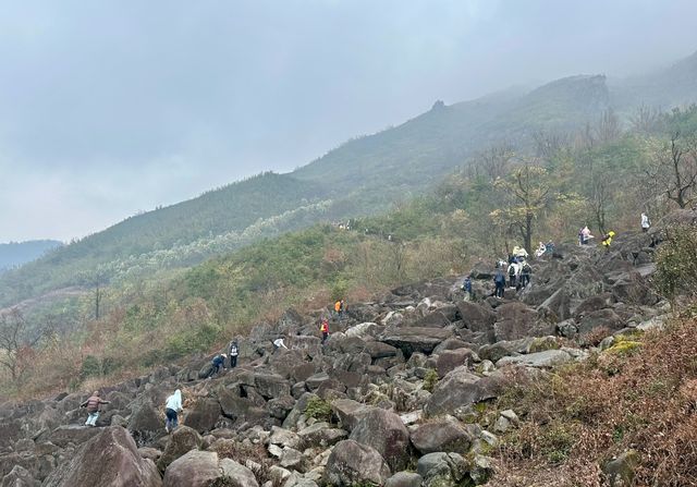 2025 快啲嚟浙江覆厄山啦，油菜花盛開！