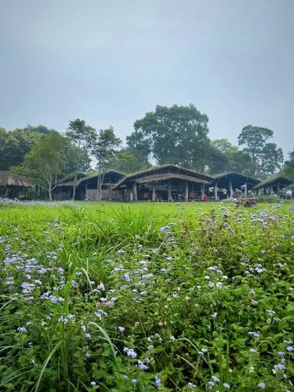 探索台灣宜蘭的不老部落：原住民文化的魅力