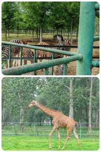 秦皇島 | 野生動物園