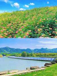 寧波旅遊文案：千年港城，四時風華，邂逅詩畫江南