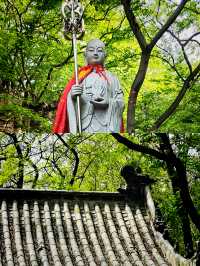 山東這座低調小城，藏著多少你不知道的秘密？