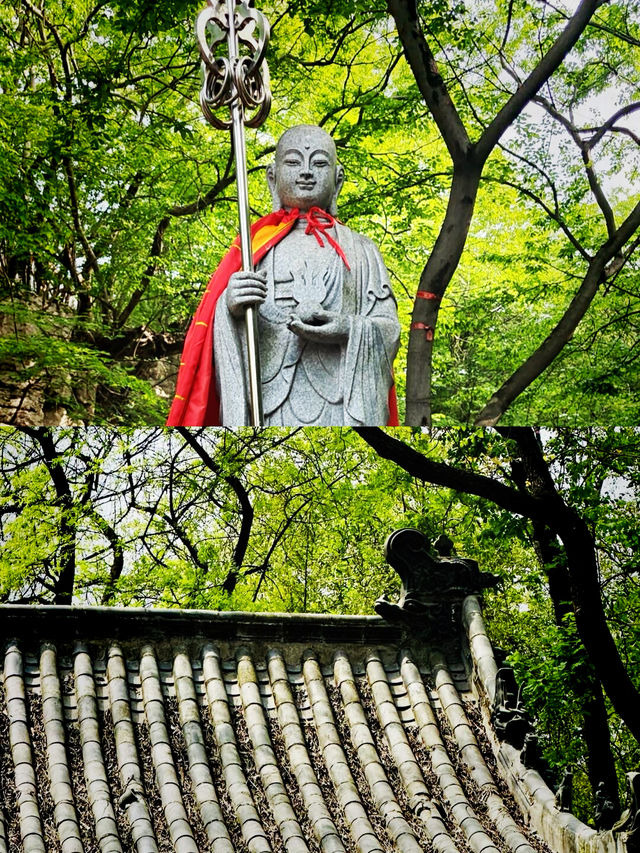 山東這座低調小城，藏著多少你不知道的秘密？