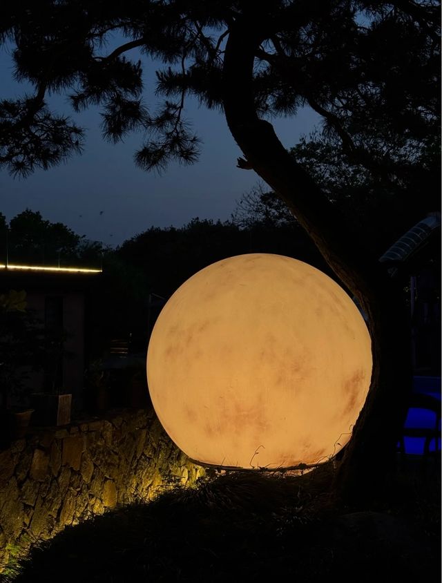 雲漫松間｜逃離城市的山頂森林秘境
