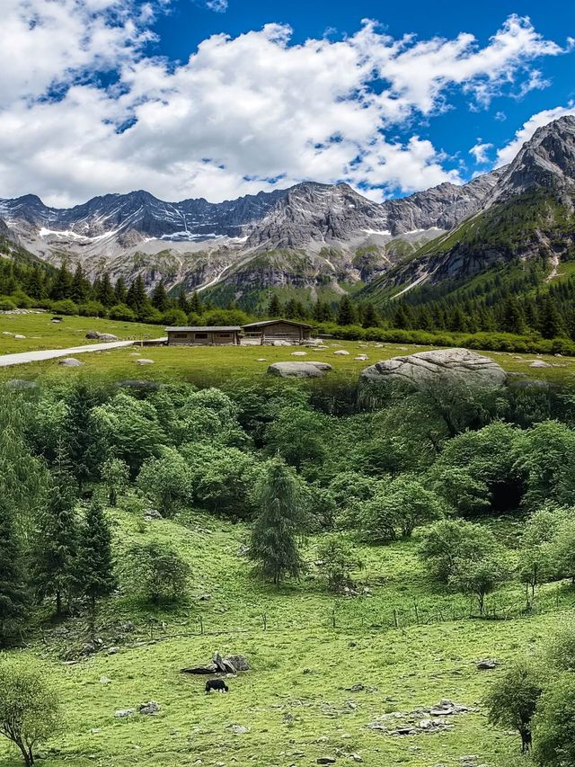 5月的四姑娘山就是封神級的美景
