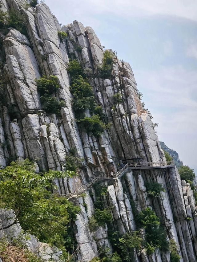 鄭州旅遊必備攻略（超全）