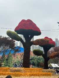 香港維多利亞公園花卉展的魅力！