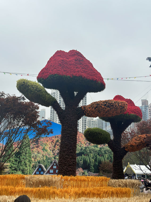 香港維多利亞公園花卉展的魅力！