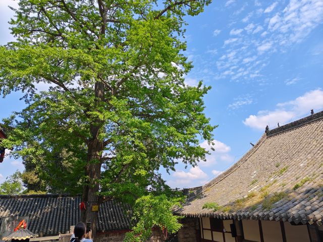 雲頂石城—慈雲寺四月體驗
