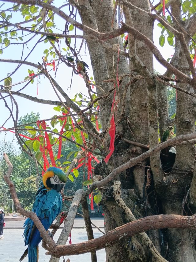太陽河原始森林公園