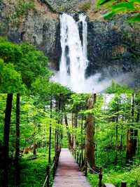 一座山睇勻春夏秋冬嘅奇蹟