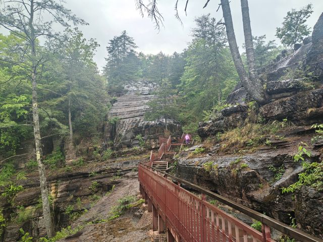 夏季炎熱推薦漢中一些避暑勝地：   - 黎坪國家森林公園：位於南鄭區黎坪鎮，夏季平均氣溫22℃左右。