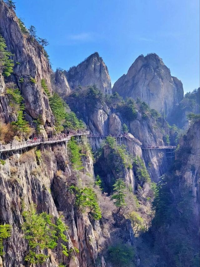 洛陽旅遊必備攻略（超全）