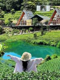 救命呀住進雲頂仙境是什麼神仙體驗