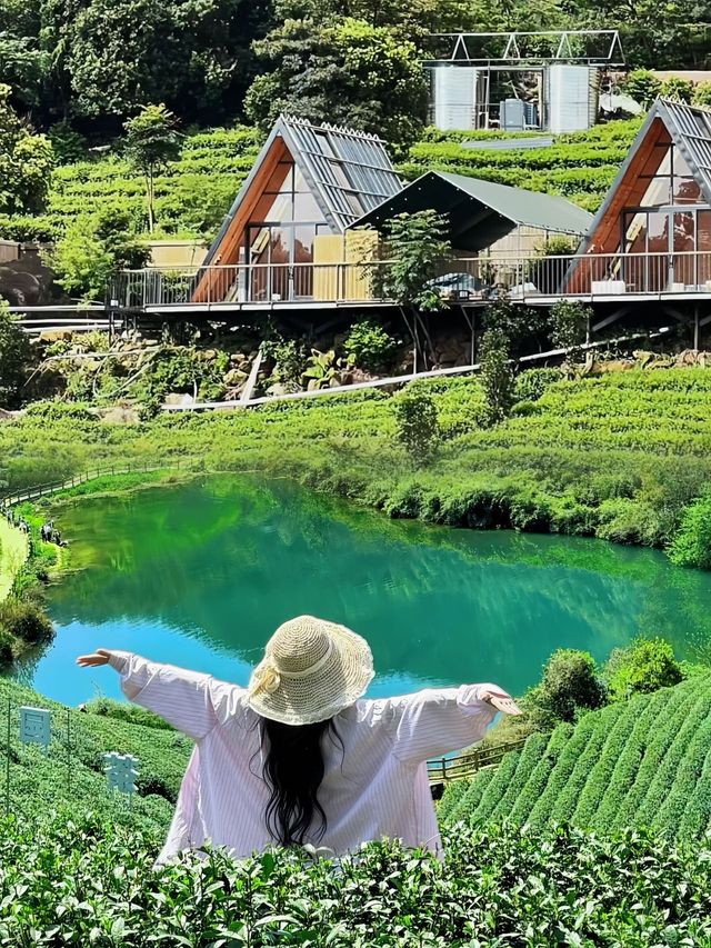 救命呀住進雲頂仙境是什麼神仙體驗