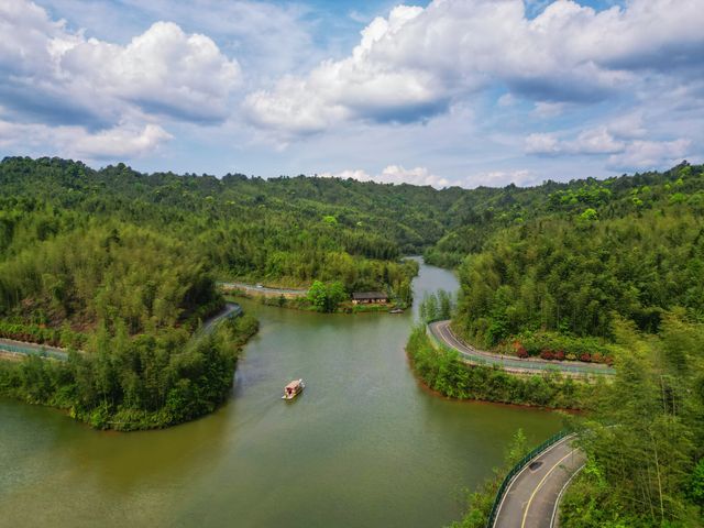 走入赤水“綠色海洋”暢玩竹海森林公園