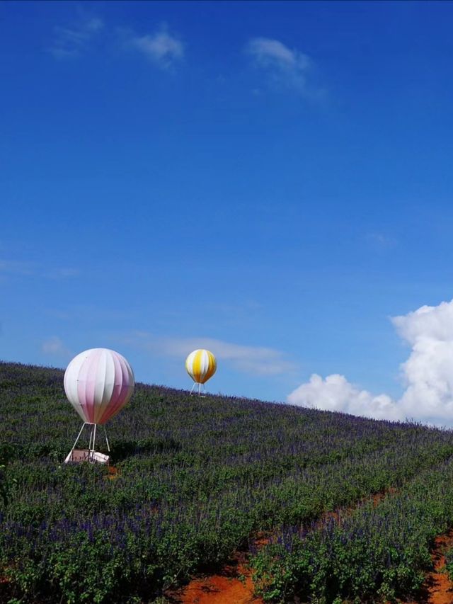 雲南彌勒 | 東風韻，邂逅「東方摩洛哥」