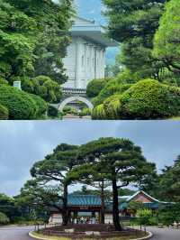 首爾特種兵一日遊，攻陷核心景點同兩場表演