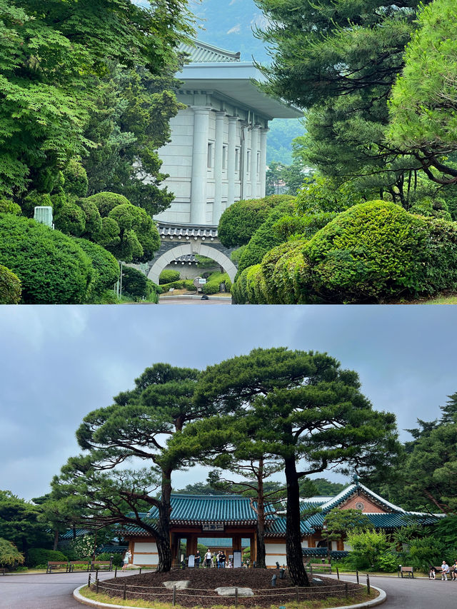 首爾特種兵一日遊，攻陷核心景點同兩場表演