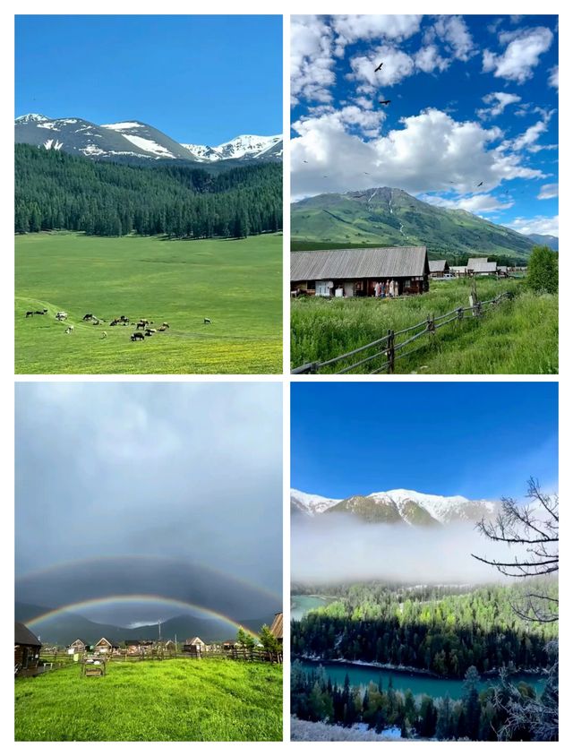 闖入現實版童話世界！阿勒泰嘅五月秘境藏唔住啦～