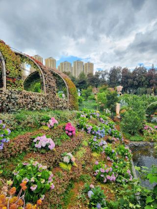 Kunming's Most Unconventional Pear Orchard—Guoyi Flower Valley