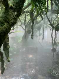 洛陽旅遊｜重渡溝～避暑好地方，值得！