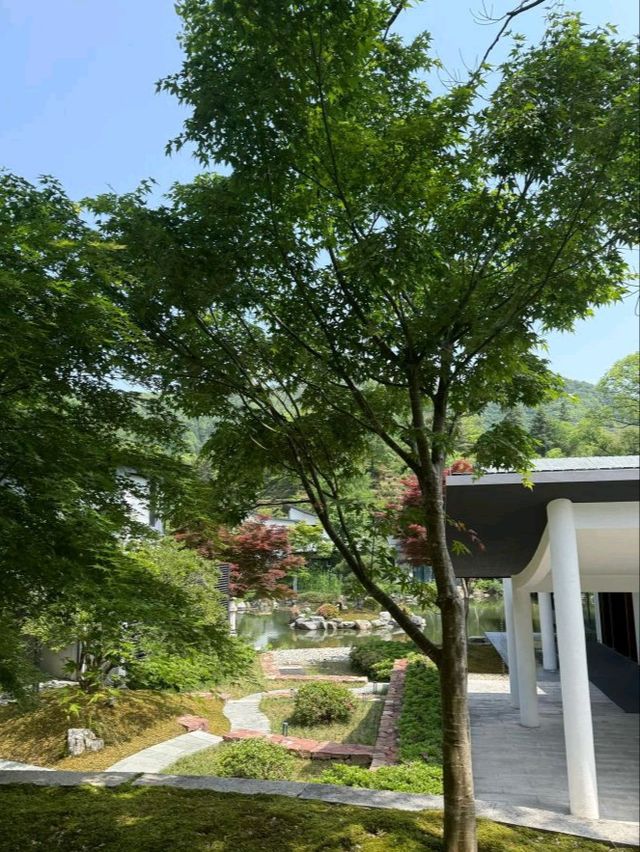 山間避世桃源 黃山腳下的徽派園林酒店
