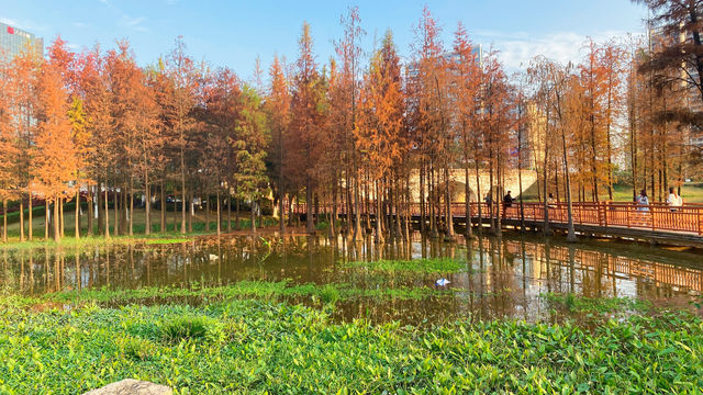 漳州龍文郊野公園：城市中的大自然