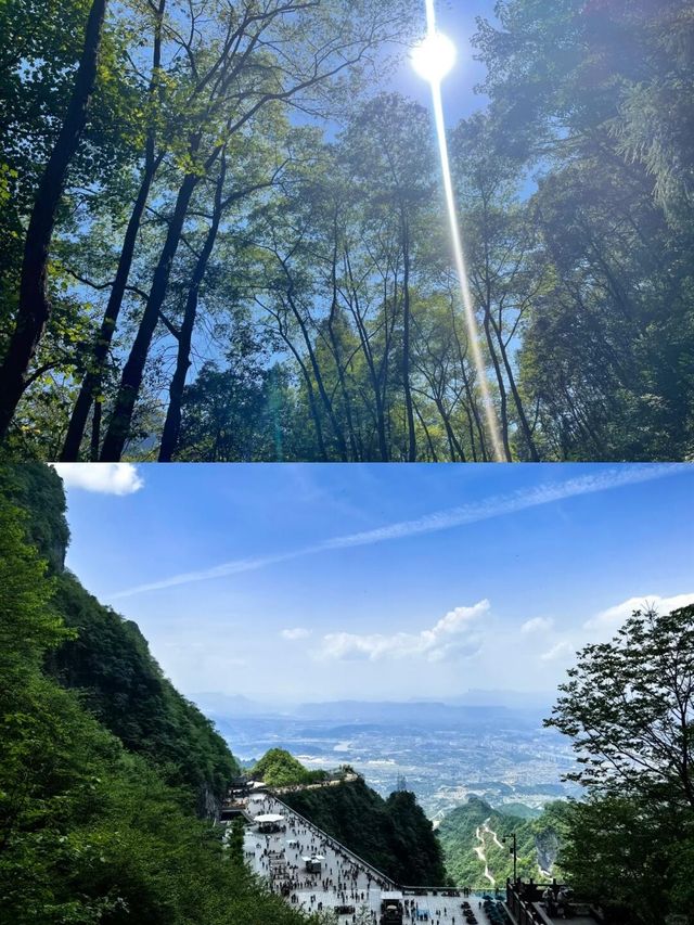 張家界3天 輕鬆遊攻略！精華景點版！