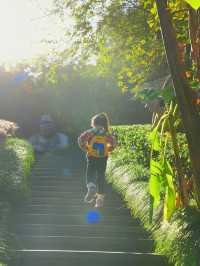 碳水王國|新昌大佛寺佛系遛娃