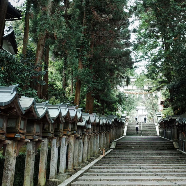 大阪秘境｜藏在生駒山的治癒系古寺，99%遊客都不知道！✨ 